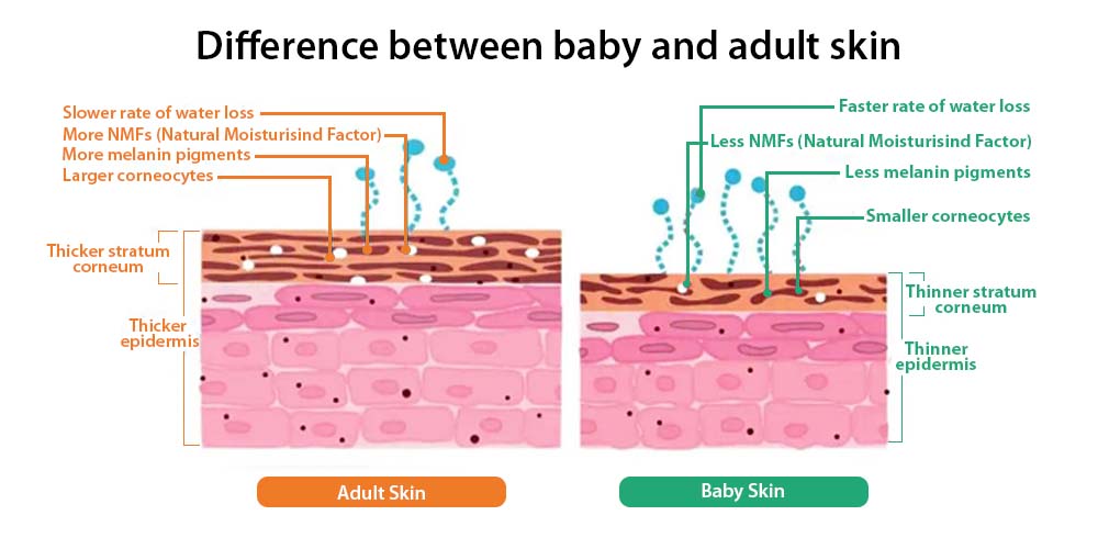 Adult VS baby skin 2 1